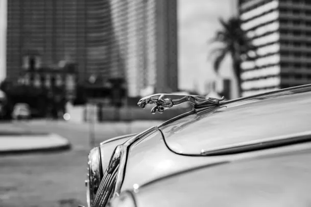 Casino Loony Bingo Aip Android/iOS